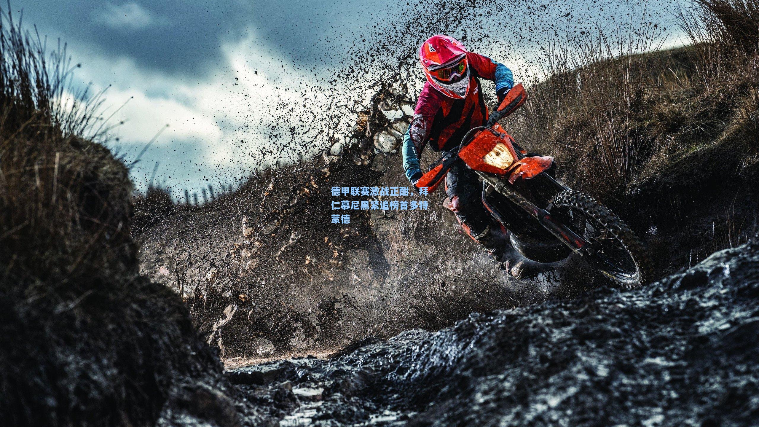 德甲联赛激战正酣，拜仁慕尼黑紧追榜首多特蒙德