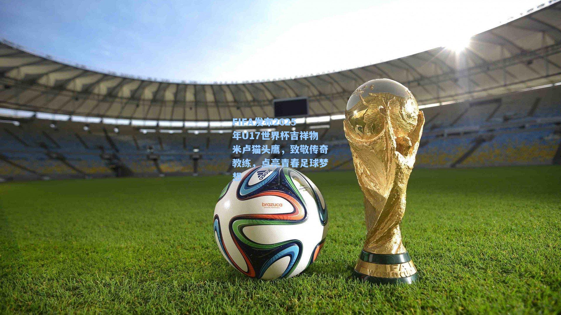 FIFA发布2025年U17世界杯吉祥物米卢猫头鹰,致敬传奇教练,点亮青春足球梦想